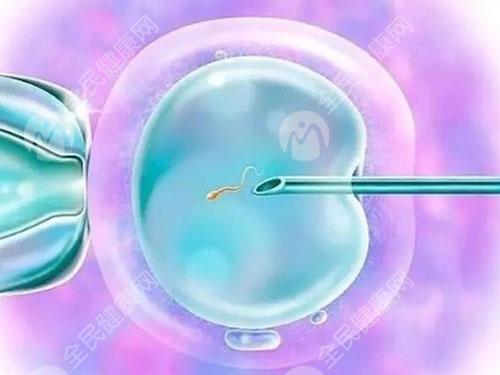 试管婴儿优胚和普胚是什么？优胚移植成功率较高