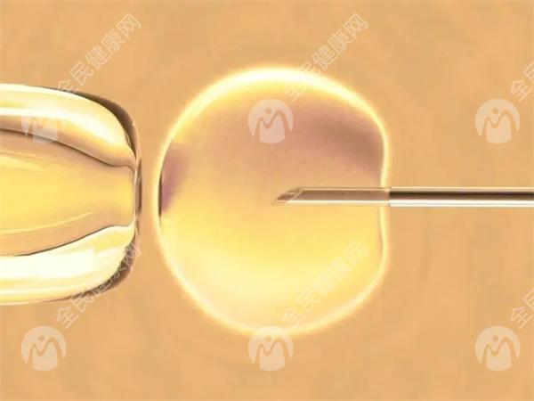 卵子质量变差，数量减少能否试管婴儿助孕？