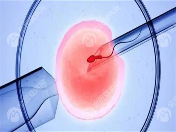 卵巢早衰卵子质量差能做试管吗？**成功率数据发布！
