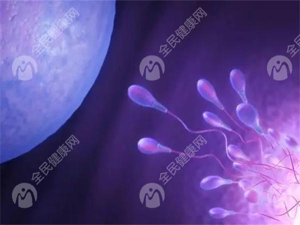 2024年盛京试管婴儿的费用是多少？附试管详细价格公布！