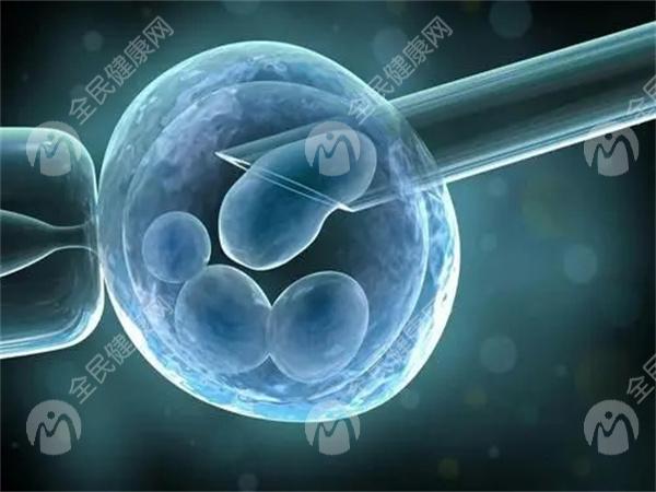 输卵管畸形对试管成功率有影响吗？附提高试管成功率方法一览！