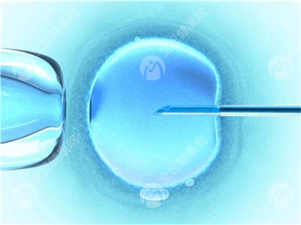 做试管为什么要评估卵巢功能？卵巢功能较差的患者试管婴儿的成功率是多少？