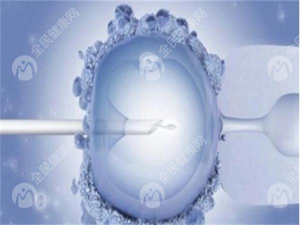 输卵管发育不全的表现有哪些？如何治疗？