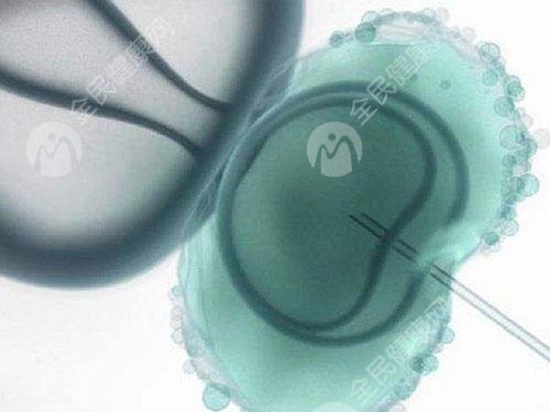 邯郸有哪些医院的生殖科能做三代试管？如何选择适合自己的医院？