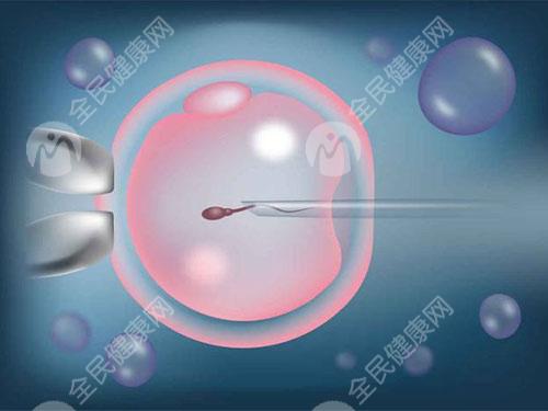 肇庆做试管婴儿胚胎移植手术多少钱一次？有哪些流程步骤？