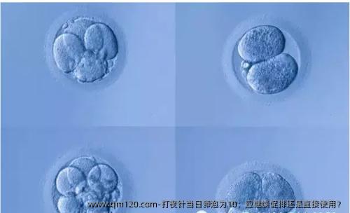 打夜针当日卵泡为10，应继续促排还是直接使用？