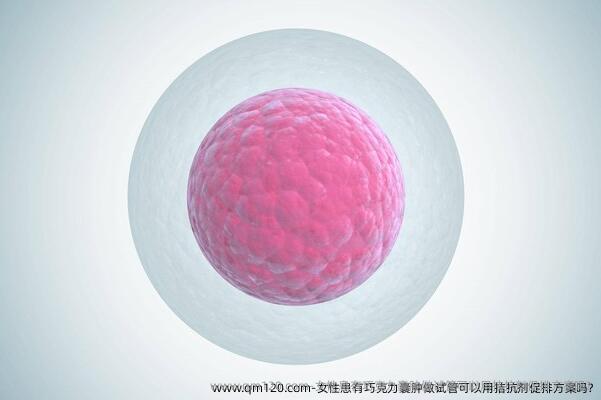 女性患有巧克力囊肿做试管可以用拮抗剂促排方案吗?