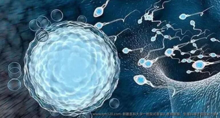 新疆医科大学一附院试管婴儿费用明细，生殖科精子提供这个数