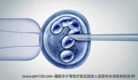 囊胚多少等级才能达到放入液氮中冷冻保存的要求?