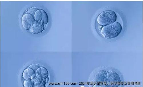 2024年清远试管婴儿医院推荐及费用详解