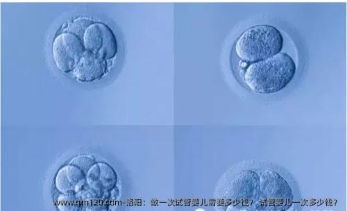 洛阳：做一次试管婴儿需要多少钱？ 试管婴儿一次多少钱？