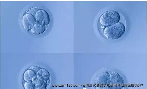 云南三代试管婴儿费用可以医保报销吗？