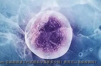 在咸阳做第三代试管助孕需要多少钱？费用可以医保报销吗？