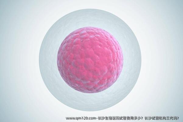 长沙生殖医院试管费用多少？长沙试管机构三代吗？