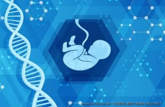 做一次试管婴儿费用大概要多少钱2024年？