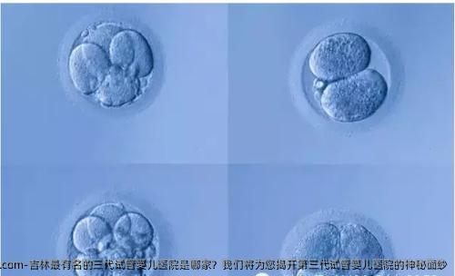 吉林最有名的三代试管婴儿医院是哪家？我们将为您揭开第三代试管婴儿医院的神秘面纱