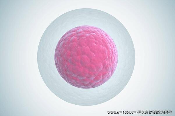 两大透支导致女性不孕