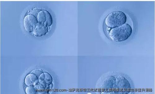 哈萨克斯坦三代试管婴儿费用概览及成功率提升策略