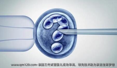 泰国三代试管婴儿成功率高，优秀技术助力家庭生育梦想