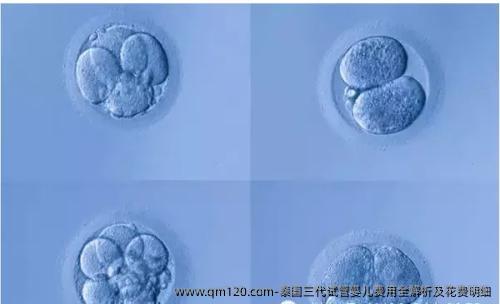 泰国三代试管婴儿费用全解析及花费明细