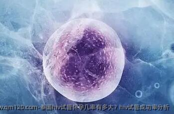 泰国hiv试管怀孕几率有多大？hiv试管成功率分析