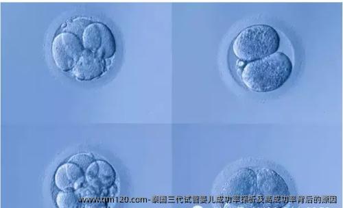 泰国三代试管婴儿成功率探析及高成功率背后的原因