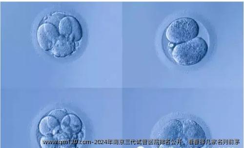 2024年南京三代试管医院排名公开，看看那几家名列前茅