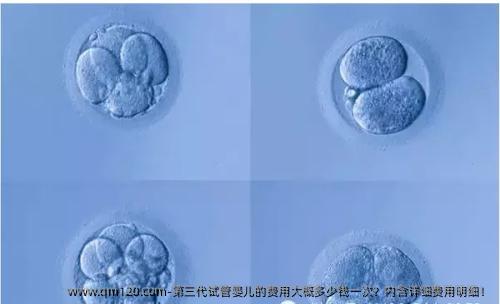 第三代试管婴儿的费用大概多少钱一次？内含详细费用明细！