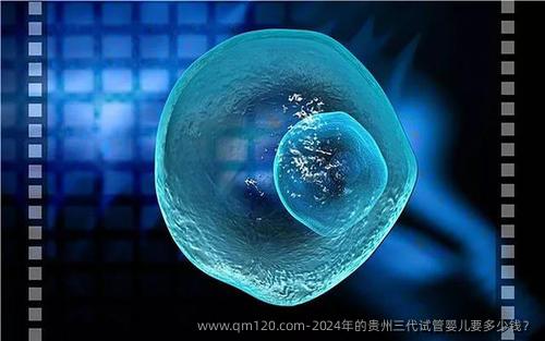 2024年的贵州三代试管婴儿要多少钱？