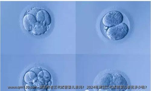 深圳养老三代试管婴儿贵吗？ 2024年深圳三代试管婴儿要花多少钱？