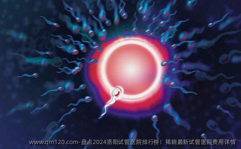 盘点2024洛阳试管医院排行榜！揭晓最新试管医院费用详情