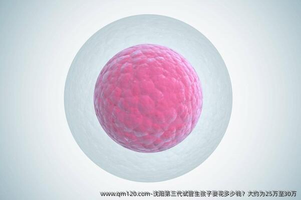 沈阳第三代试管生孩子要花多少钱？大约为25万至30万