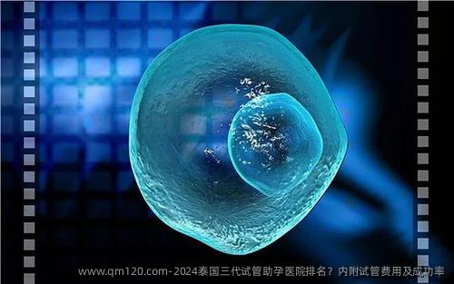 2024泰国三代试管助孕医院排名？内附试管费用及成功率