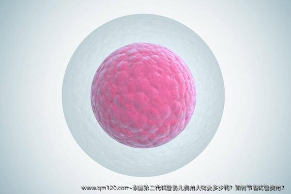 泰国第三代试管婴儿费用大概要多少钱？如何节省试管费用？