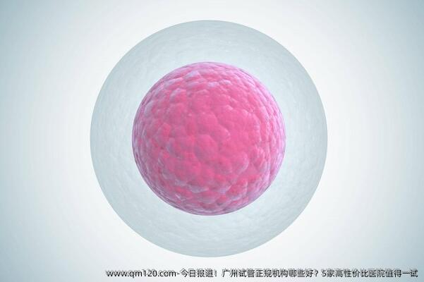 今日报道！广州试管正规机构哪些好？5家高性价比医院值得一试