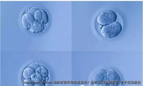 高龄试管怀孕能成功吗？分享2024高龄试管  生子成功案例