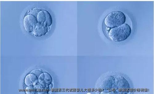 泰国第三代试管婴儿大概多少钱？“公布”泰国试管价格明细！