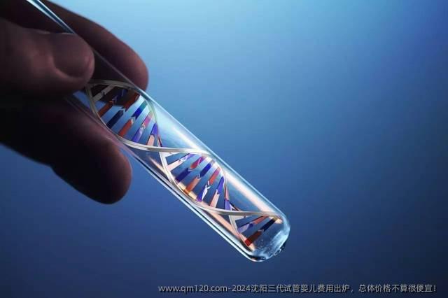 2024沈阳三代试管婴儿费用出炉，总体价格不算很便宜！