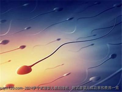 2024伊宁试管婴儿医院排名，附试管婴儿成功率和费用一览