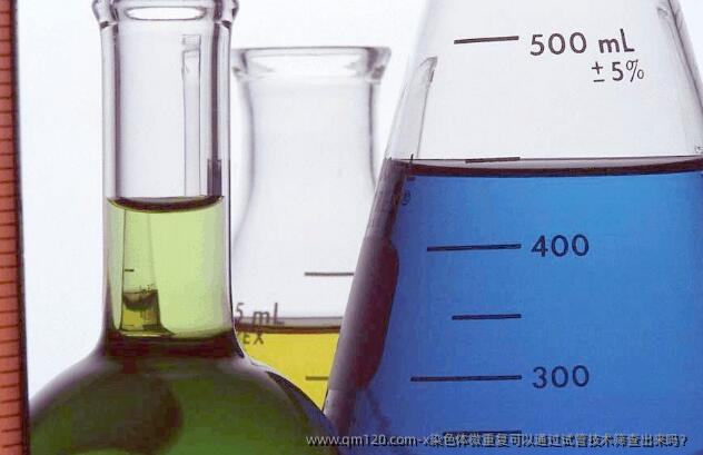 x染色体微重复可以通过试管技术筛查出来吗？