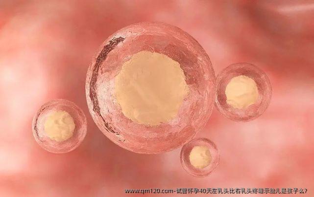 试管怀孕40天左乳头比右乳头疼暗示胎儿是孩子么？