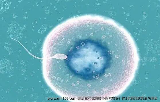 深圳三代试管哪个医院较好？这3家医院试管成功率高