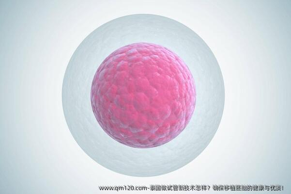 泰国做试管新技术怎样？确保移植胚胎的健康与优质！