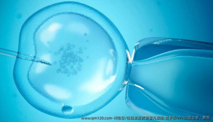 **/拉拉家庭试管婴儿攻略:俄罗斯IVF/IUI成功率、费用