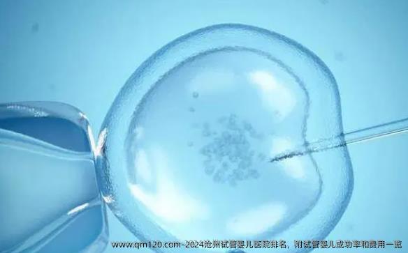 2024沧州试管婴儿医院排名，附试管婴儿成功率和费用一览