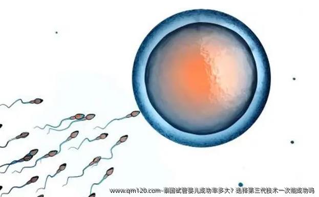 泰国试管婴儿成功率多大？选择第三代技术一次能成功吗