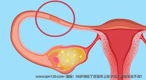 谨慎！50岁停经了还能怀上孩子吗？成功率高不高？