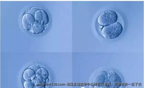 南昌正规助孕中心排名已更新，优势劣势一目了然