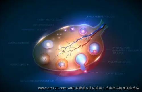 40岁多囊巢女性试管婴儿成功率详解及提高策略