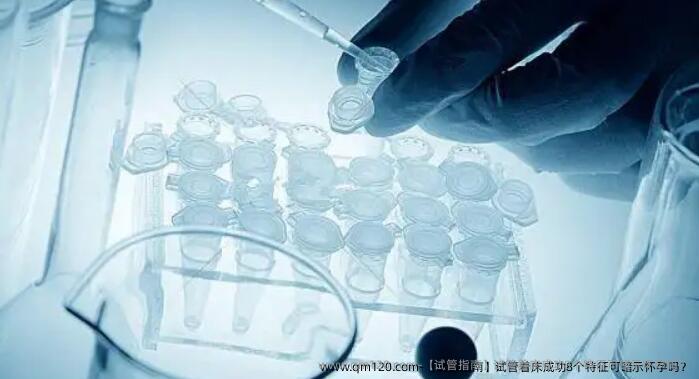 【试管指南】试管着床成功8个特征可暗示怀孕吗？